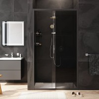 Душевая дверь в нишу AM.PM Gem Solo W90G-110-1-195BG 110 см