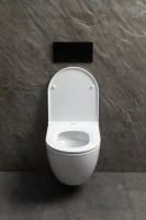 Унитаз подвесной Allen Brau Priority 49х36 см, безободковый, белый глянец