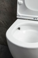 Унитаз подвесной Allen Brau Priority 49х36 см, безободковый, белый глянец