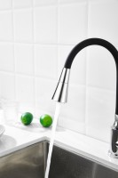 Смеситель для кухни BELZ B809 B74809 с гибким изливом, хром Смеситель для кухни BELZ B809 B74809 с гибким изливом, хром