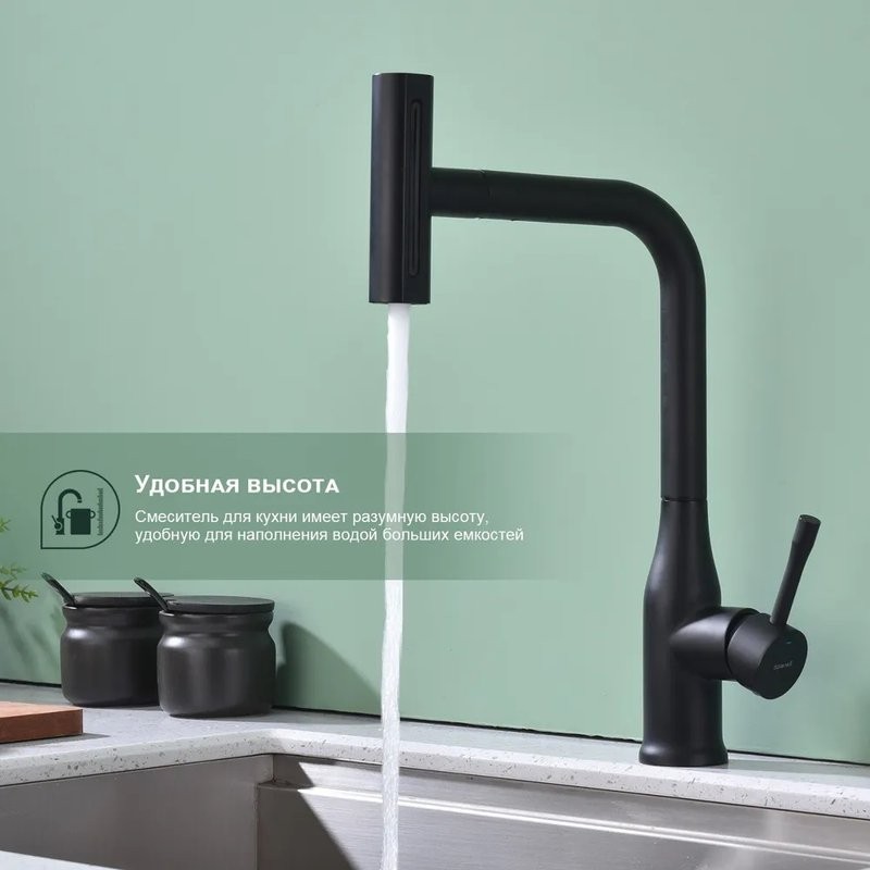 Смеситель для кухни с мультифункциональным изливом Splenka S206.49.06, черный