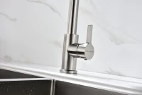 Смеситель для кухни Paulmark Halt Ha214021-BS с гибким изливом, брашированная сталь