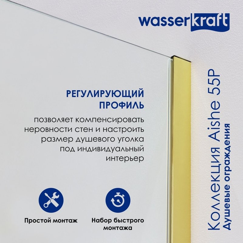 Душевая дверь в нишу Wasserkraft Aisch 55P 55P12