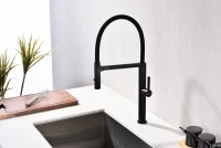 Смеситель для кухни Paulmark Leader Le214101-AN с гибким изливом, антрацит