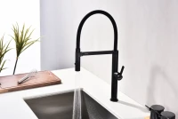 Смеситель для кухни Paulmark Leader Le214101-AN с гибким изливом, антрацит