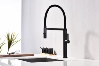 Смеситель для кухни Paulmark Leader Le214101-AN с гибким изливом, антрацит