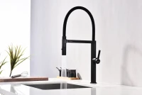 Смеситель для кухни Paulmark Leader Le214101-AN с гибким изливом, антрацит
