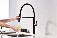 Смеситель для кухни Paulmark Leader Le214101-AN с гибким изливом, антрацит