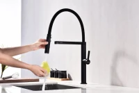 Смеситель для кухни Paulmark Leader Le214101-AN с гибким изливом, антрацит