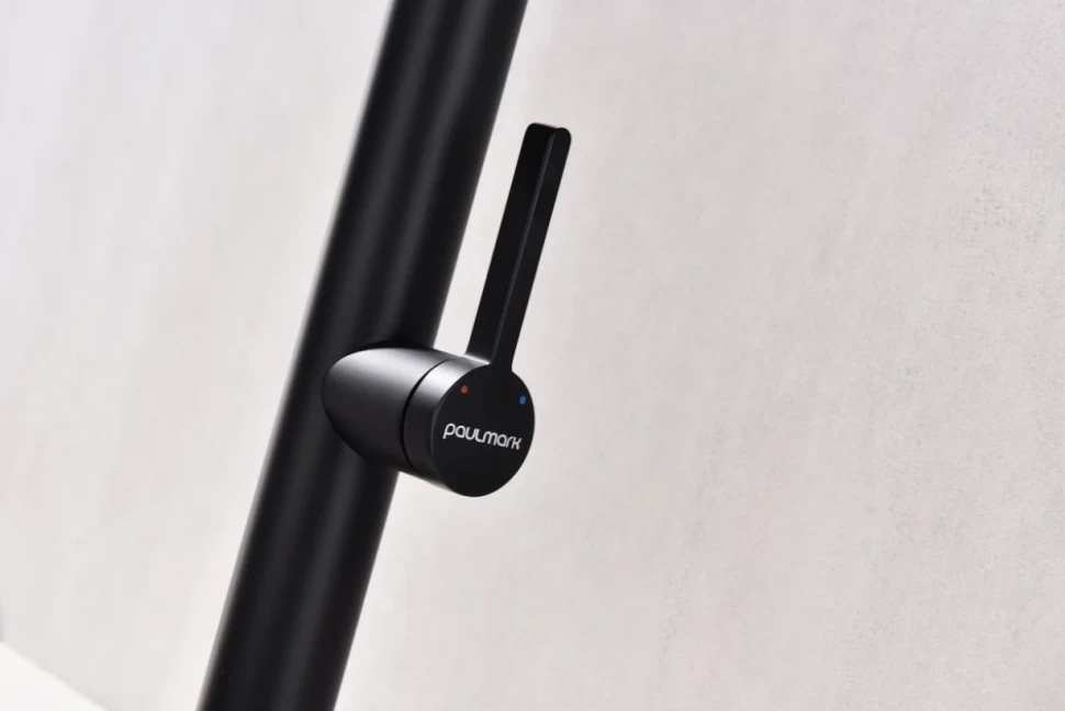 Смеситель для кухни Paulmark Leader Le214101-AN с гибким изливом, антрацит