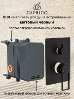 Встраиваемый смеситель для душа и ванны Caprigo Kub 54-051-ner черный