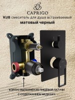 Встраиваемый смеситель для душа и ванны Caprigo Kub 54-051-ner черный