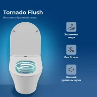 Унитаз подвесной Aquanet Zvezda Soft Close SLIMSEAT Rimless Tornado Унитаз подвесной Aquanet Zvezda Soft Close SLIMSEAT Rimless Tornado