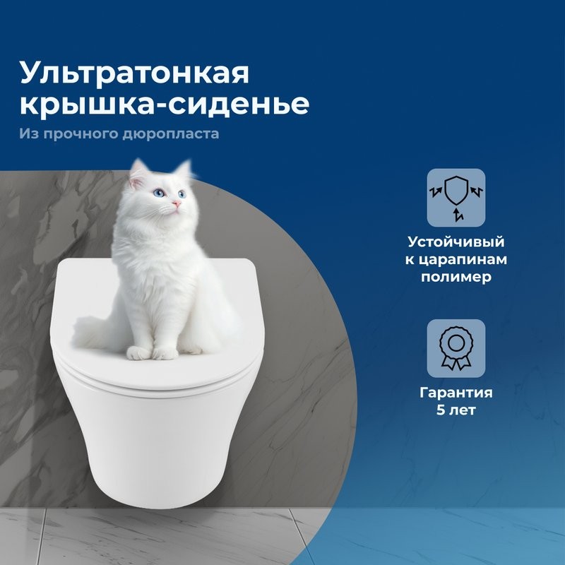 Унитаз подвесной Aquanet Zvezda Soft Close SLIMSEAT Rimless Tornado