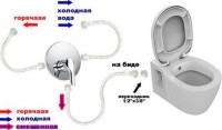 Унитаз подвесной Bien Ion безободковый, с биде
