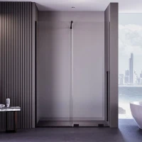 Душевая дверь в нишу Veconi Premium Trento PTDW-50B-100-01-C4 100 см, профиль матовый черный, стекло прозрачное