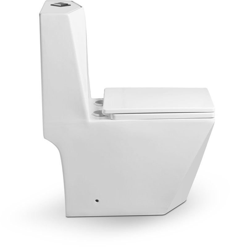 Унитаз-моноблок напольный SantiLine SL-5013 с микролифтом