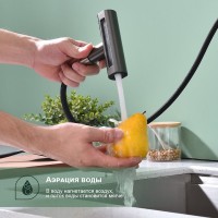 Смеситель для кухни с мультифункциональным изливом Splenka S206.49.09, графит Смеситель для кухни с мультифункциональным изливом Splenka S206.49.09, графит