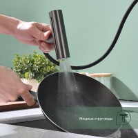 Смеситель для кухни с мультифункциональным изливом Splenka S206.49.09, графит Смеситель для кухни с мультифункциональным изливом Splenka S206.49.09, графит