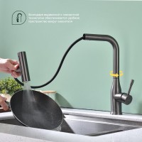 Смеситель для кухни с мультифункциональным изливом Splenka S206.49.09, графит Смеситель для кухни с мультифункциональным изливом Splenka S206.49.09, графит