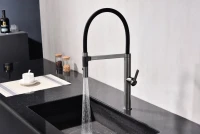 Смеситель для кухни Paulmark Leader Le214101-GM с гибким изливом, вороненая сталь