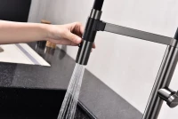 Смеситель для кухни Paulmark Leader Le214101-GM с гибким изливом, вороненая сталь