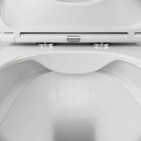Комплект Унитаз подвесной AM.PM Func C8F1700SC безободковый, с микролифтом + Инсталляция TECE Base 9400413 4 в 1 с кнопкой смыва