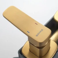 Смеситель для раковины/умывальника встраиваемый Shevanik S9941G, золотой сатин