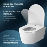 Унитаз подвесной AM.PM Func C8F1700SC безободковый, с микролифтом