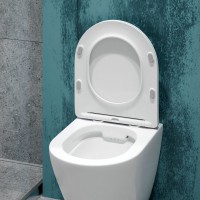 Унитаз подвесной EvaGold K505 безободковый, с микролифтом