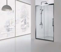 Душевая дверь в нишу Aquanet Delta 273613 160 см