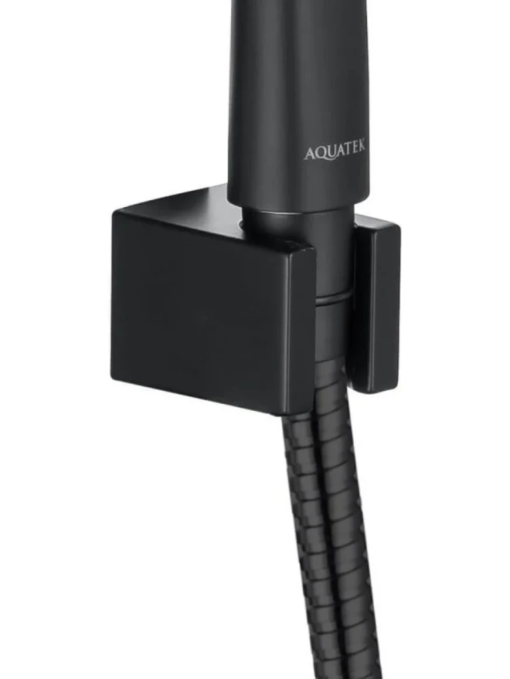 Душевой гарнитур AQUATEK AQ2010MB матовый черный