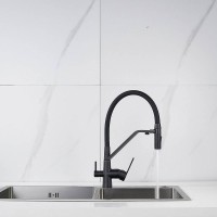 Смеситель для кухни Shevanik S278H черный