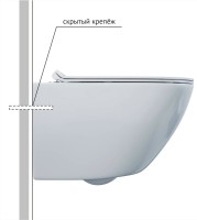 Унитаз подвесной Berges Puma Rimless 082131 с микролифтом