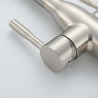 Смеситель для кухни Frap F4398-5 сатин