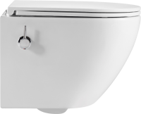 Унитаз подвесной EvaGold K505B безободковый, с микролифтом