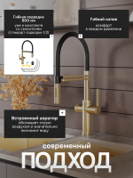 Смеситель для кухни Agger Elegant A3252599 с гибким изливом, золото матовое