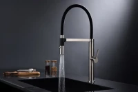 Смеситель для кухни Paulmark Leader Le214101-BS с гибким изливом, брашированная сталь