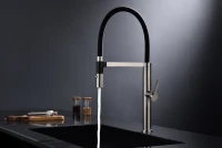 Смеситель для кухни Paulmark Leader Le214101-BS с гибким изливом, брашированная сталь