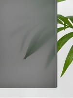 Душевая дверь в нишу RGW Passage CL-13 профиль хром, стекло серое