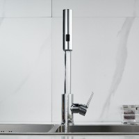 Смеситель для кухни Shevanik S263 хром