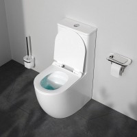 Унитаз-компакт напольный AM.PM Like C808600SC безободковый, с сиденьем микролифт, белый