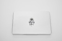 Душевая стойка BELZ B24613 хром