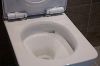 Унитаз подвесной Toto SP CW532Y с микролифтом