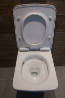 Унитаз подвесной Toto SP CW532Y с микролифтом