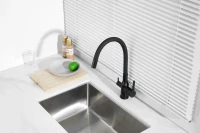 Смеситель для кухни BELZ B814 B76814-7 с гибким изливом, черный
