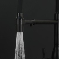 Смеситель для кухни Frap F4398-6 черный