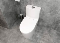 Унитаз-моноблок напольный EvaGold 5003 безободковый, с микролифтом