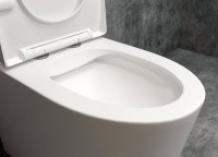 Унитаз-моноблок напольный EvaGold 5003 безободковый, с микролифтом