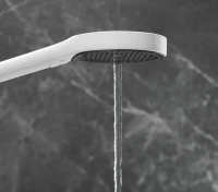 Душевая лейка Hansgrohe Rainfinity 26864700